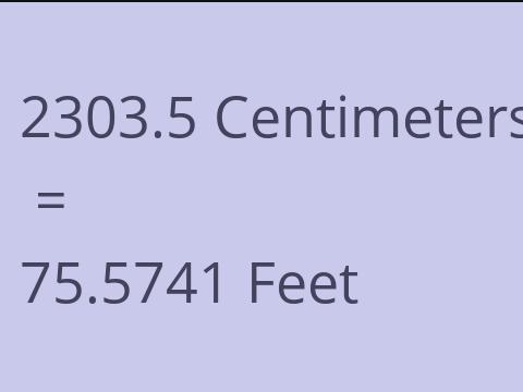 2303.5 CM TO FEET