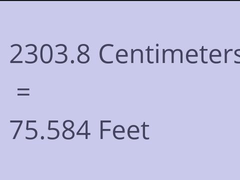 2303.8 CM TO FEET