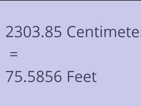 2303.85 CM TO FEET