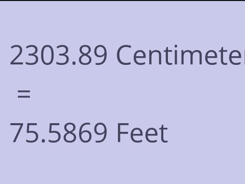 2303.89 CM TO FEET