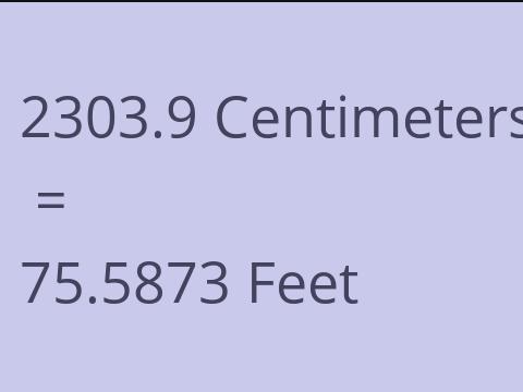2303.9 CM TO FEET
