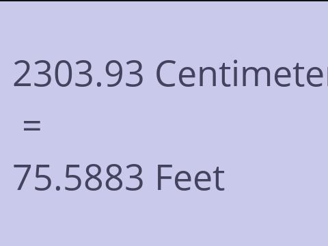 2303.93 CM TO FEET