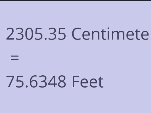 2305.35 CM TO FEET