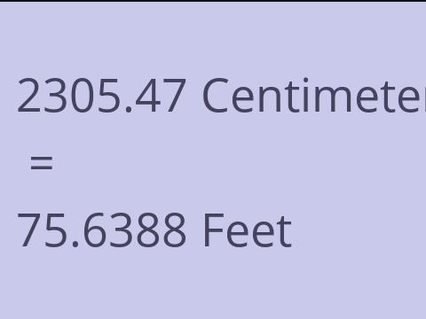 2305.47 CM TO FEET
