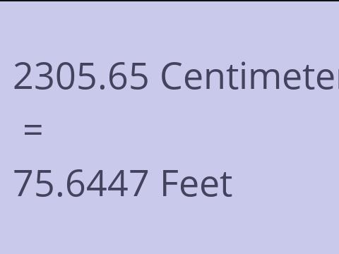 2305.65 CM TO FEET
