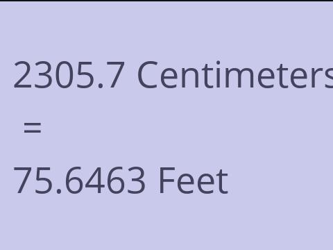 2305.7 CM TO FEET