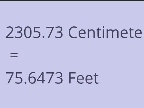 2305.73 CM TO FEET