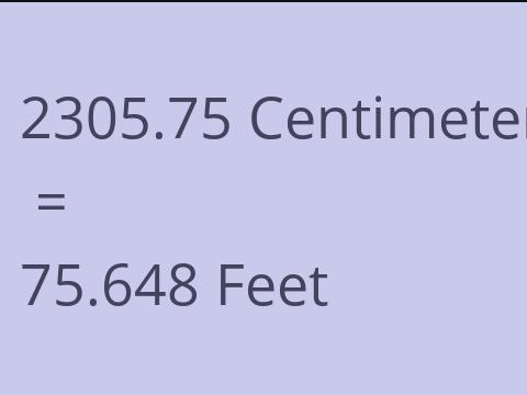 2305.75 CM TO FEET
