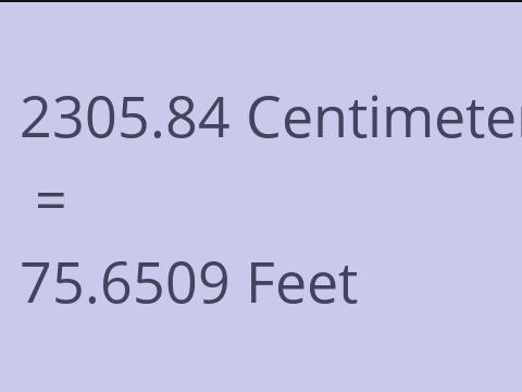 2305.84 CM TO FEET
