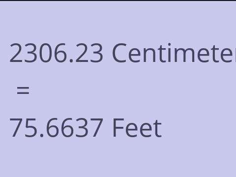 2306.23 CM TO FEET