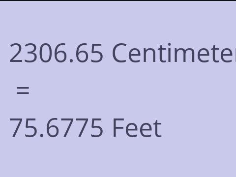 2306.65 CM TO FEET