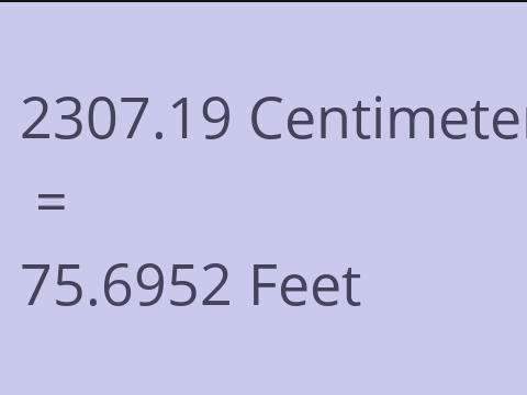2307.19 CM TO FEET