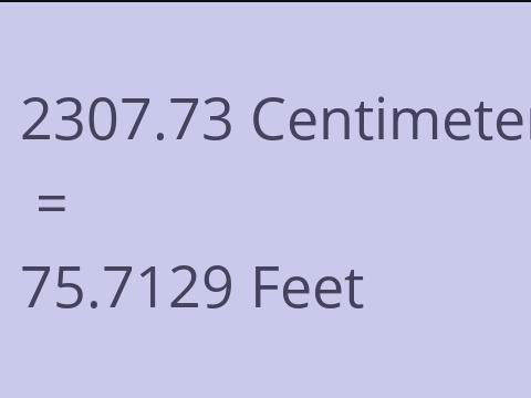 2307.73 CM TO FEET