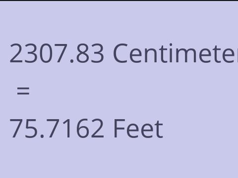 2307.83 CM TO FEET