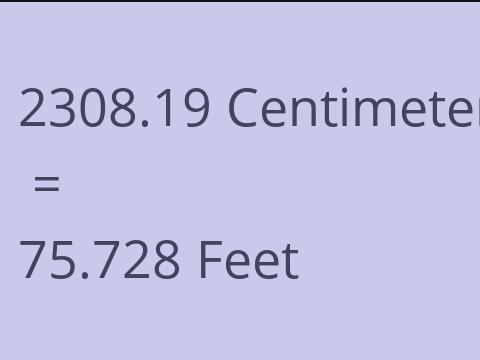 2308.19 CM TO FEET
