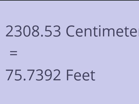 2308.53 CM TO FEET