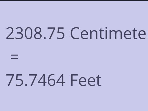 2308.75 CM TO FEET