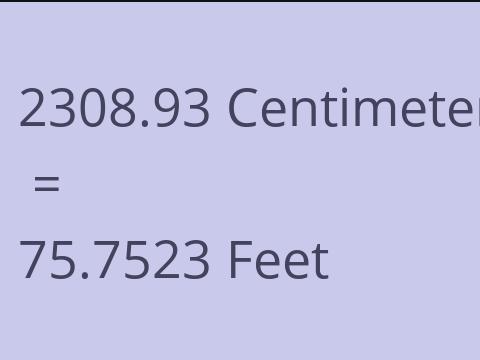 2308.93 CM TO FEET