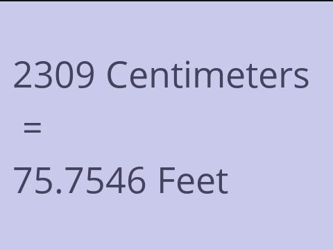 2309 CM TO FEET