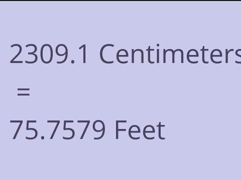 2309.1 CM TO FEET