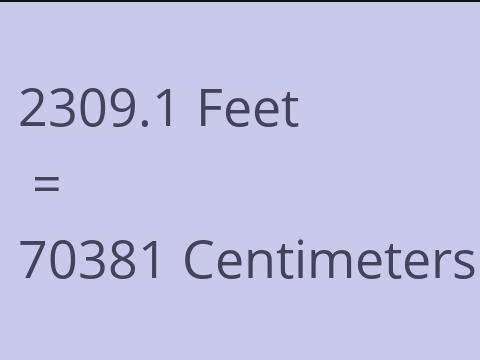 2309.1 FEET TO CM