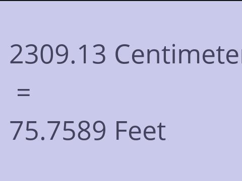 2309.13 CM TO FEET