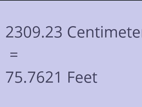 2309.23 CM TO FEET