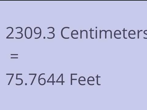 2309.3 CM TO FEET