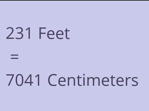 231 FEET TO CM