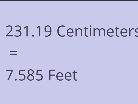 231.19 CM TO FEET