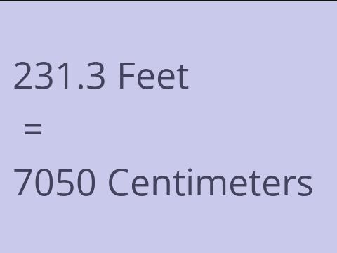 231.3 FEET TO CM