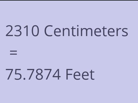 2310 CM TO FEET