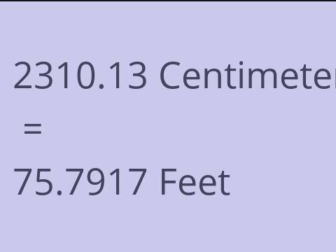 2310.13 CM TO FEET
