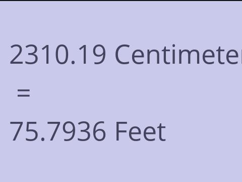 2310.19 CM TO FEET