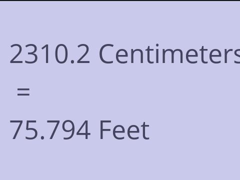 2310.2 CM TO FEET