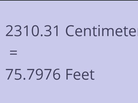 2310.31 CM TO FEET
