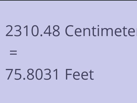2310.48 CM TO FEET