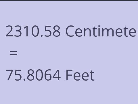 2310.58 CM TO FEET
