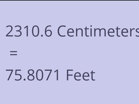 2310.6 CM TO FEET