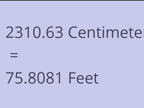 2310.63 CM TO FEET