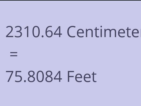 2310.64 CM TO FEET