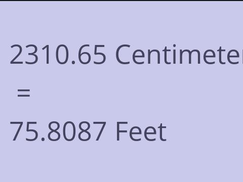2310.65 CM TO FEET