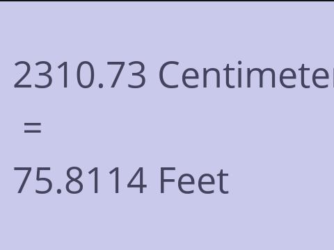 2310.73 CM TO FEET
