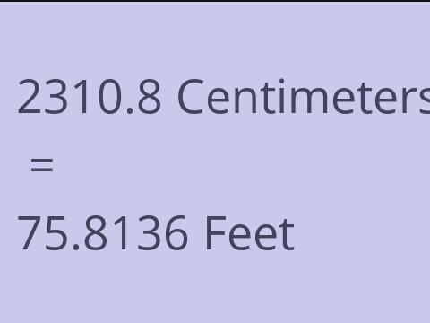 2310.8 CM TO FEET