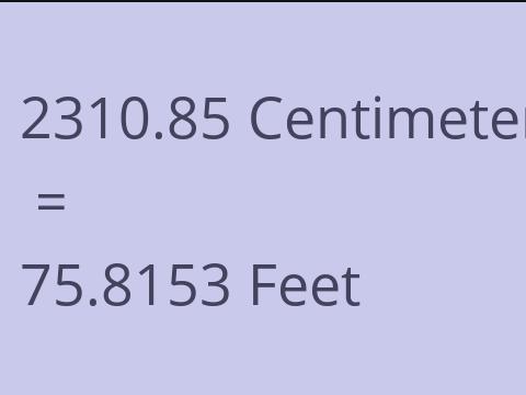 2310.85 CM TO FEET