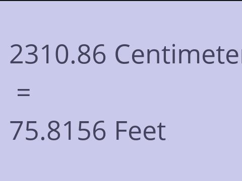 2310.86 CM TO FEET