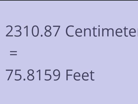 2310.87 CM TO FEET