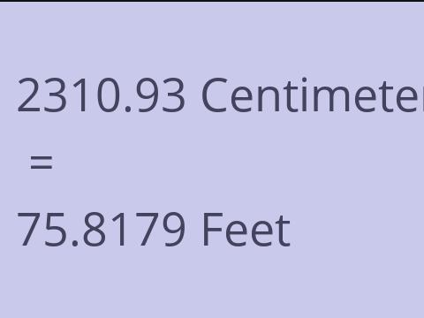 2310.93 CM TO FEET