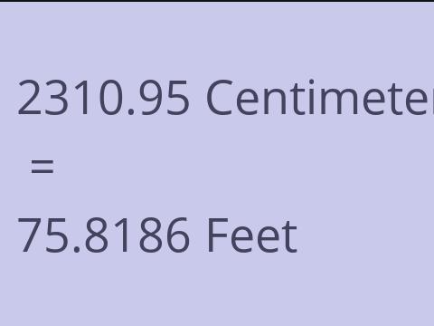 2310.95 CM TO FEET