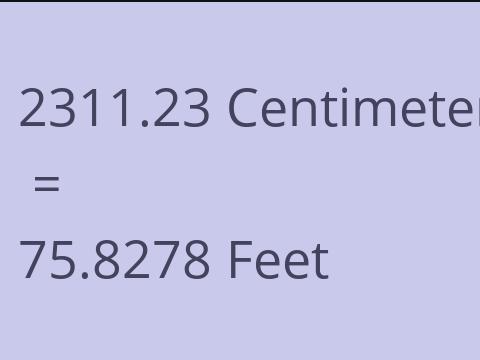 2311.23 CM TO FEET